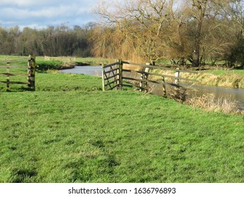 Wild Swimming In The River Waveney