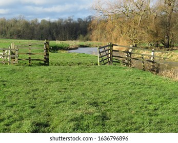 Wild Swimming In The River Waveney