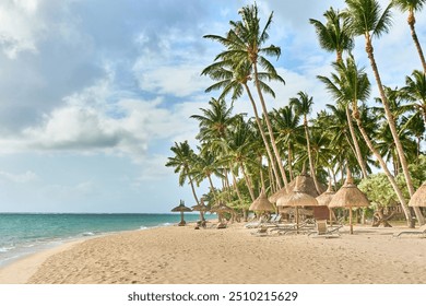 Wild tropical beach with coconut trees and other vegetation, white sand beach, Mauritius island, Africa - Powered by Shutterstock