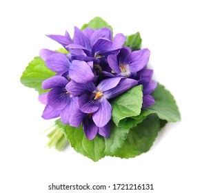 Wild violet flowers isolated on white backgrounds. - Shutterstock ID 1721216131