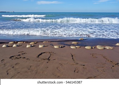 wild waves and 2017 letter on black sand at Samyang black sand beach, jeju island, korea, asia