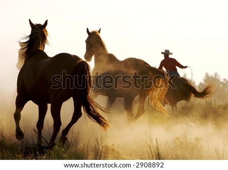 The Wild West