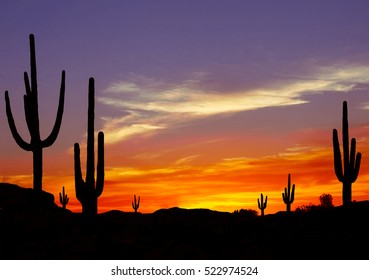 Wild West Sunset With Cactus Silhouette