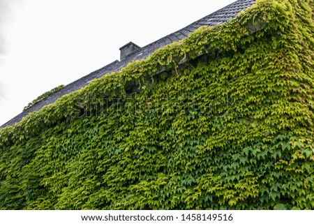 Similar – heavily overgrown building, of which only the roof is still visible