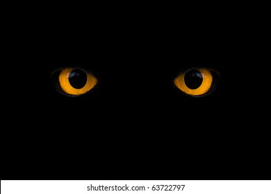 Yellow Eyes High Res Stock Images Shutterstock