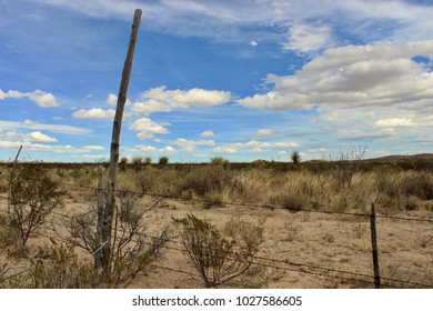 Wild Yucca West Texas Chihuahua Desert Skies