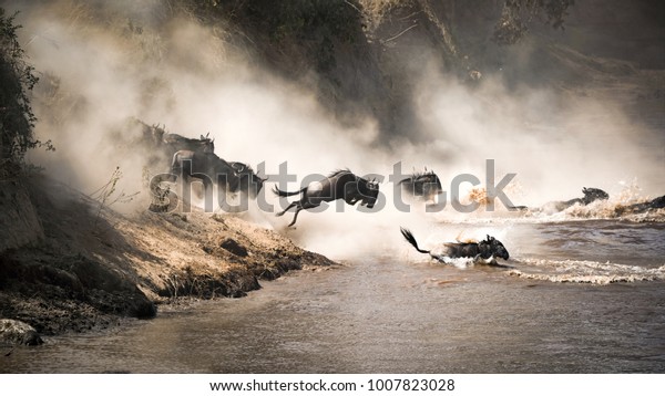 Wildebeest crossing the Mara River during the annual great migration. Wildlife wallpaper. 