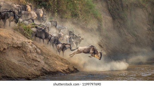 Wildebeests are crossing  Mara river. Great Migration. Kenya. Tanzania. Maasai Mara National Park. An excellent illustration. - Powered by Shutterstock