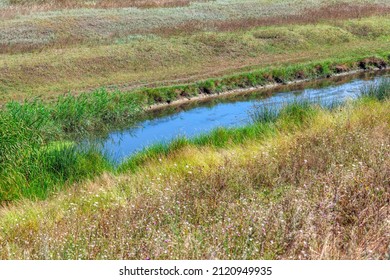 Wilderness Area With Stream . Flowing Brook Nature