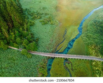 Wilderness In Slovenia Landscape. Wetland And Grassland In Zelenci Spring Nature Reserve.