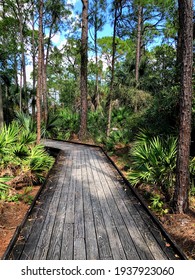 Wilderness Trail In Florida Park