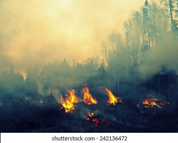 山火事 Images Stock Photos Vectors Shutterstock