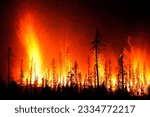 Wildfire. Wildfire in British Columbia. Canada. Forest fire. Forest fire in progress. Fire. Large flames. Fire in Bellavista de Jaen destroys 120 hectares of crops. Peru. Corinthia. Greece. Bolivia