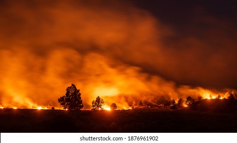 Wildfire Burning In California Forest