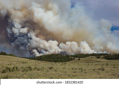 Wildfire Burning In Colorado Forest