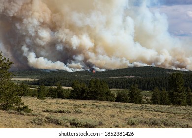 Wildfire Burning In Colorado Forest