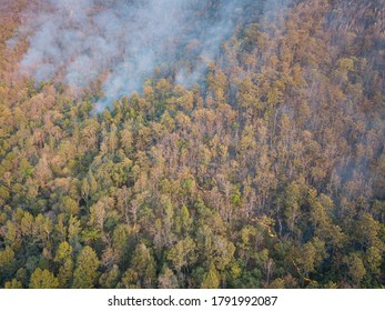 WildFire Burning Forest Aerial View Above