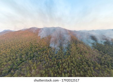 WildFire Burning Forest Aerial View Above