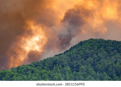 Wildfire burning through the pine forests of Andalusia region in southern Spain