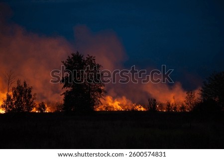 Wildfire in the evening. Fire spreading through rural area, burning grass, trees and bushes on its way