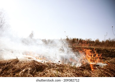 Wildfire. Fire. Global Warming, Environmental Catastrophe. Concept Man Helpless Before A Natural Disaster. Protection Of The Environment. Survival, The Preservation Of Life