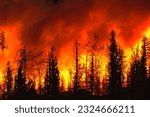 Wildfire. Wildfire in. Canada. Forest fire. Forest fire in progress. Fire. Large flames. Park. Pennsylvania. USA. Climate change. 2024. New York. California. British Columbia. La palma. Spain. El Paso