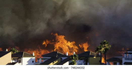 Wildfire Near Houses