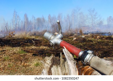 Wildfire in pine forest close-up - fire, smoke, burning woods in spring, summer