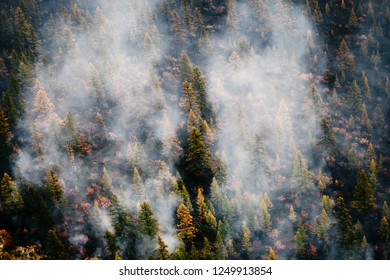 Wildfire In Siberia