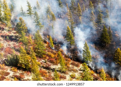 Wildfire In Siberia