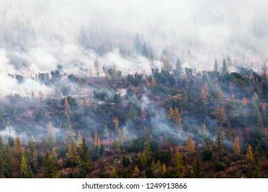 Wildfire In Siberia