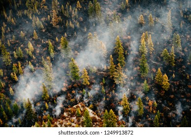 Wildfire In Siberia