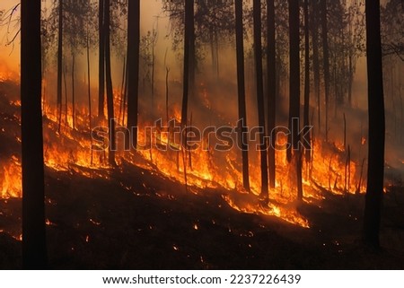 Wildfires or forest fire burning with a lot of smoke