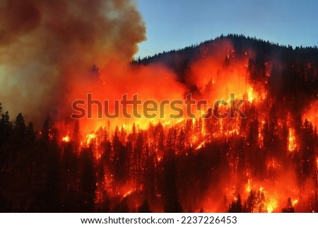Wildfires or forest fire burning with a lot of smoke