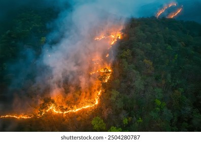 Wildfires release carbon dioxide (CO2) emissions and other greenhouse gases (GHG) that contribute to climate change. - Powered by Shutterstock