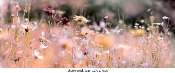 Wildflower meadow panorama background with different paint channels added. Mourning card concept photo.