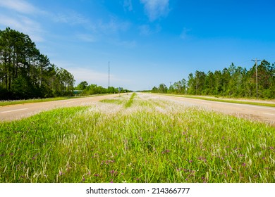 Wildflowers In A Center Median Along A Rural Highway View.