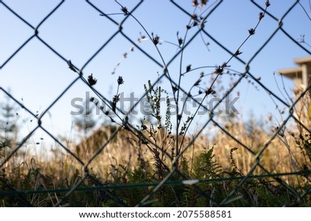 Similar – Image, Stock Photo dreary Environment Winter