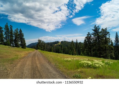 144 Floresta Nacional Wallowa Whitman Images, Stock Photos & Vectors ...