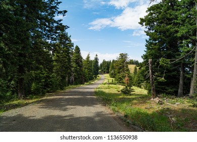 144 Floresta Nacional Wallowa Whitman Images, Stock Photos & Vectors ...