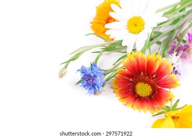 Wildflowers Isolated On White