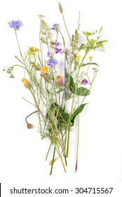 Wildflowers Isolated On White