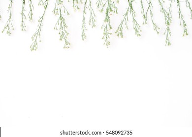 Wildflowers on white background. Flat lay, top view. Blog hero or header