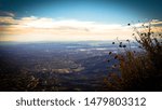 Wildflowers, overlooking Claremont, CA.  Potato Mountain, Claremont, CA.  