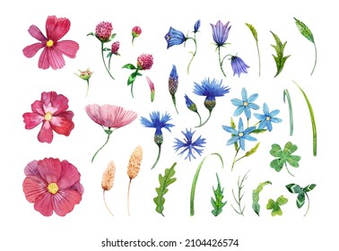 花 イラスト 水彩 コスモス Stock Photos Images Photography Shutterstock