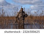 wildfowl hunting Minnesota nature wildlife