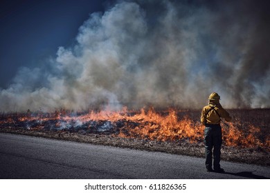 Wildland Fire Controlled Burn 