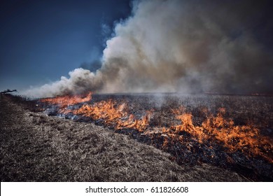 Wildland Fire Controlled Burn 