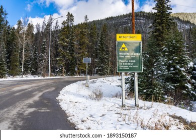 Wildlife In Area Warning Sign. Mount Norquay Scenic Drive Mountain Road. Banff National Park, Canadian Rockies, Alberta, Canada.