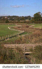 Wildlife Conservation Corridor Between Fields. Dumfries, Scotland. 